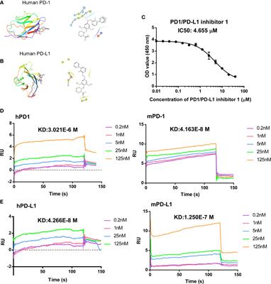 A Small Molecule Antagonist of PD-1/PD-L1 Interactions Acts as an Immune Checkpoint Inhibitor for NSCLC and Melanoma Immunotherapy